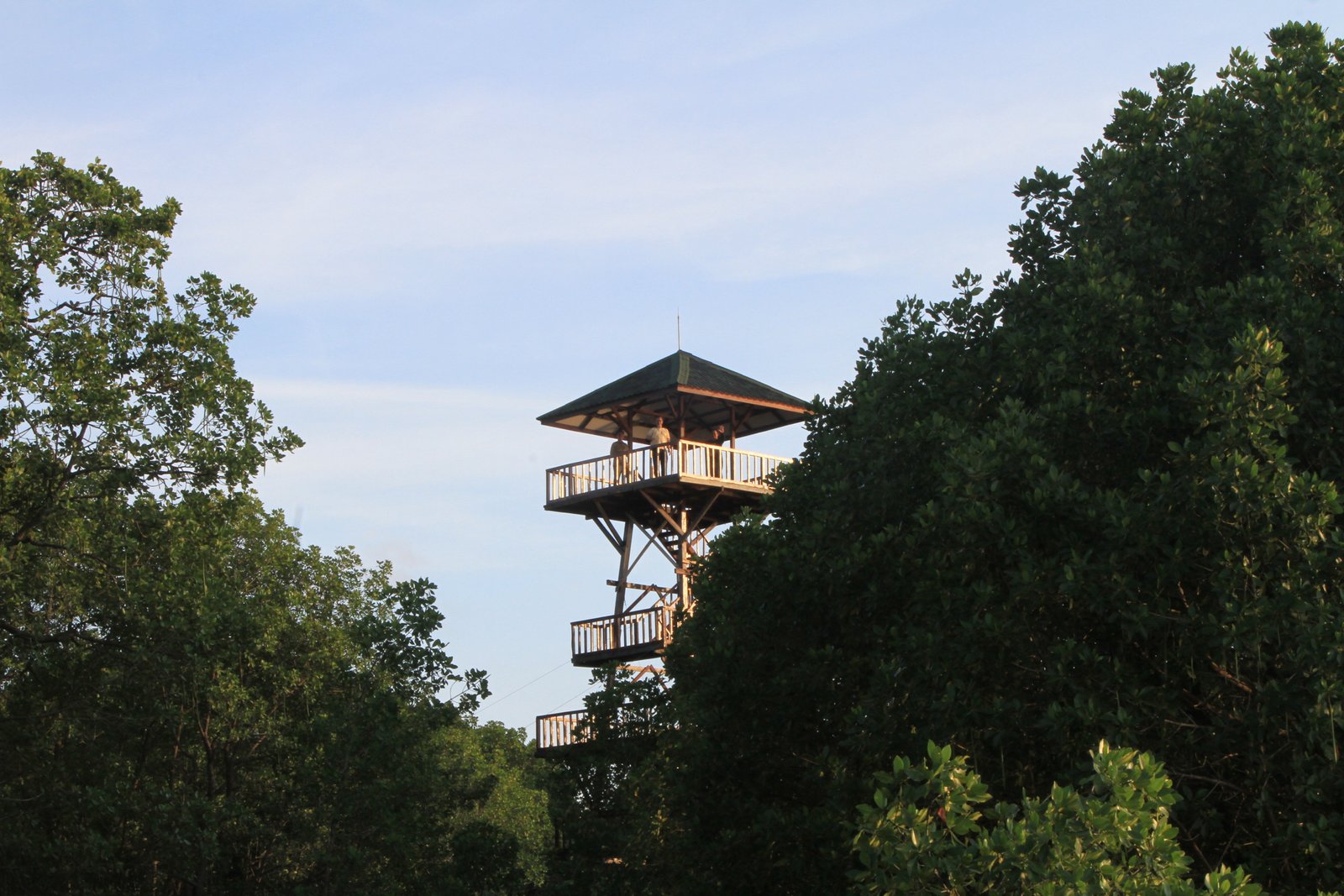 Bontang Mangrove Park